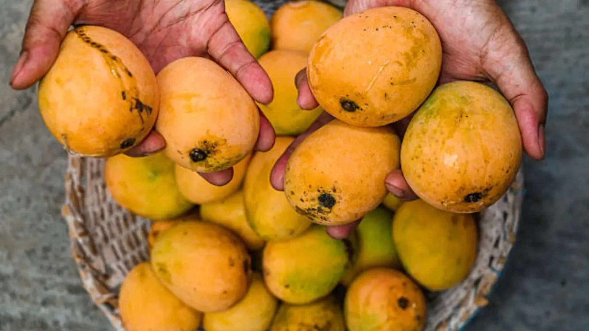 Mangoes are used in diverse forms and dishes across the sub-continent. <br><br>