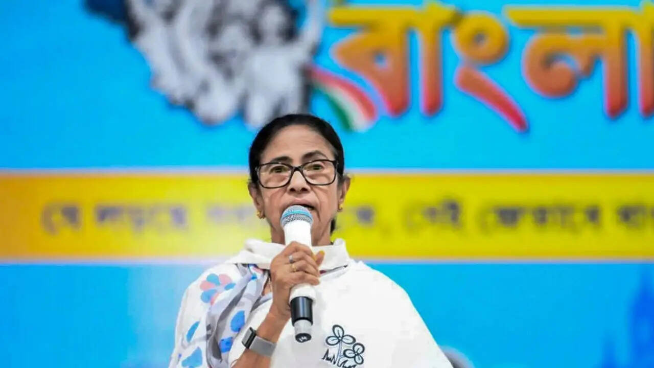 'To divide West Bengal': Mamata claims Centre trying to 'trifurcate' state through delimitation