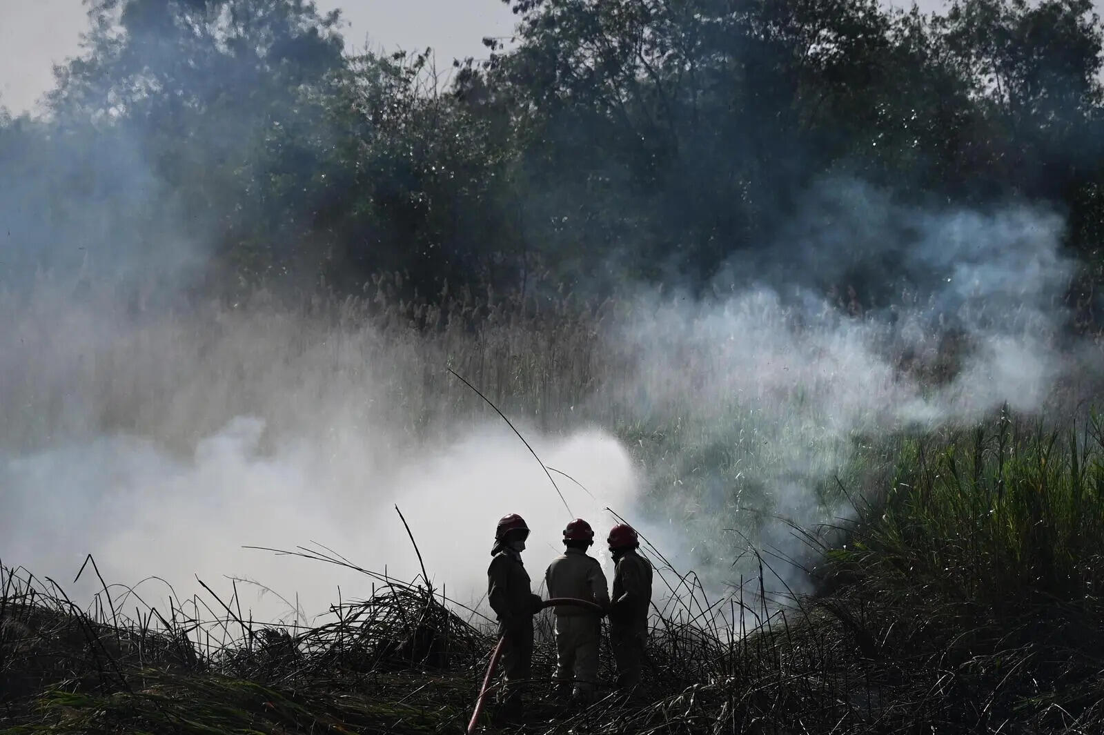 Firefighters contain blaze near Rajghat bus depot