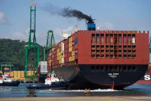 Basmati bottleneck: 1,000% freight spike rattles Ludhiana exporters