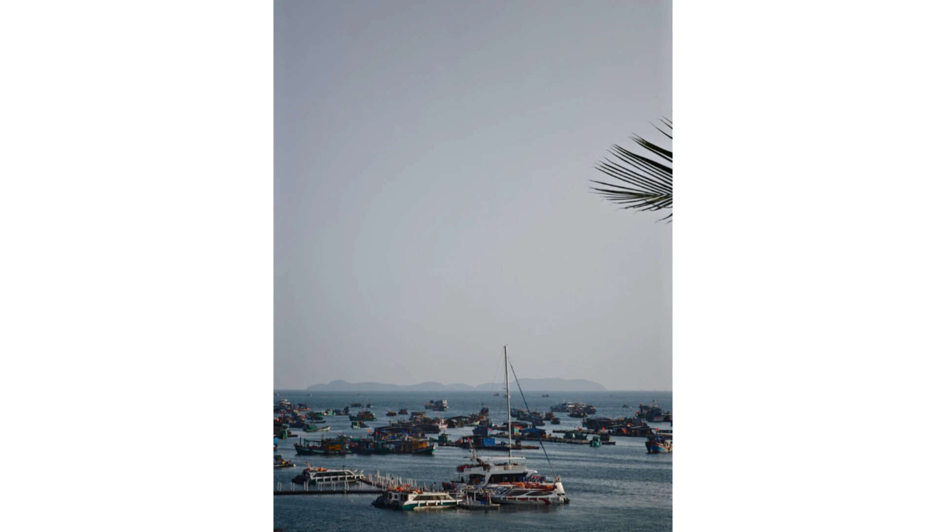 Harbour with many boats
