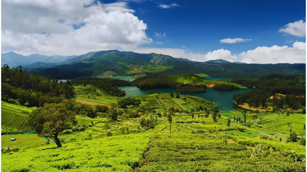 Ooty in Tamil Nadu