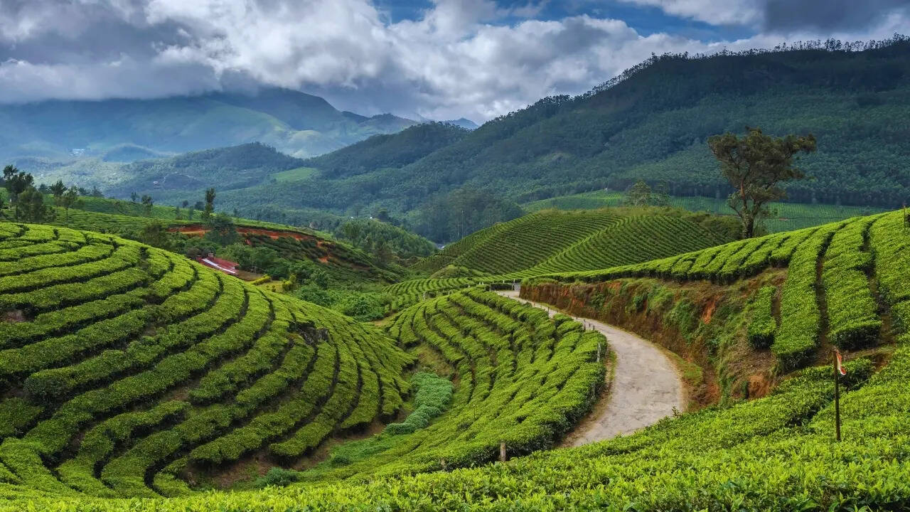 Munnar in Kerala