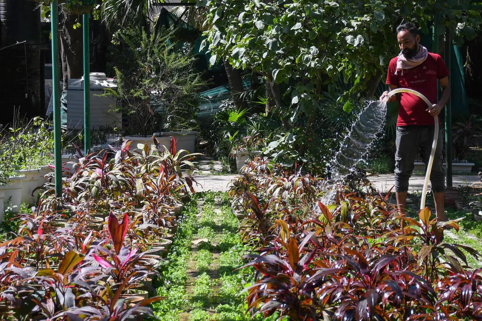 90 Years of Lodhi Garden: The Silent Hands Behind Delhi’s Iconic Heritage Park