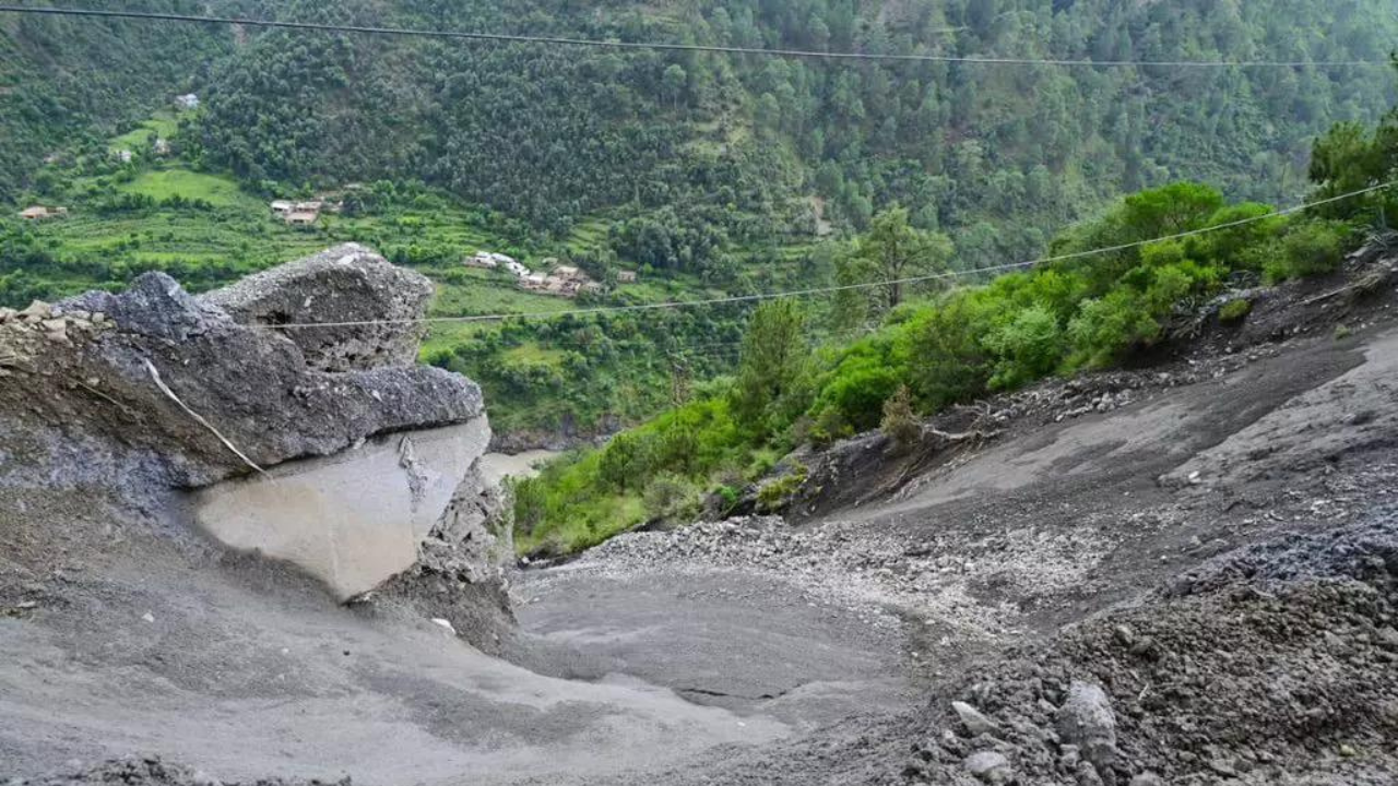 SC wants govt response to PIL seeking hike in MSP for grains