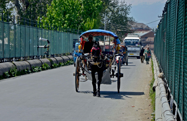 Seventy-year-old Ghulam Rasool Kumar has brought the traditional tonga, or horse cart, back to the streets of Srinagar, reviving memories of a bygone era. Locals can now indulge in nostalgia and enjoy an experience that was once known only to their elders.