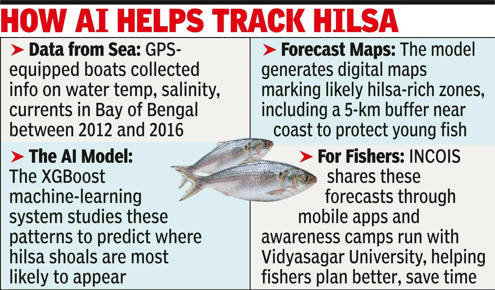 Netting hilsa with AI: Smart maps locate rich zones but raise overfishing concerns