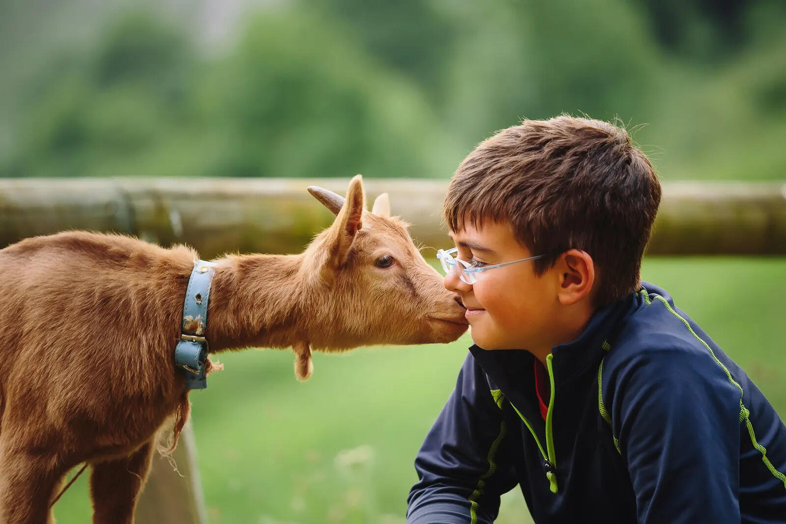 ​The animals that teach responsibility, empathy and problem-solving from age three to the teen years
