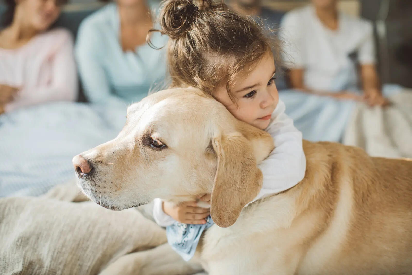 ​The right pet at the right age can support a child's development in ways that go far beyond the classroom