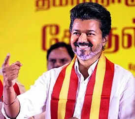 Tamil Nadu polls: TVK releases election manifesto; Vijay promises free LPG, gold