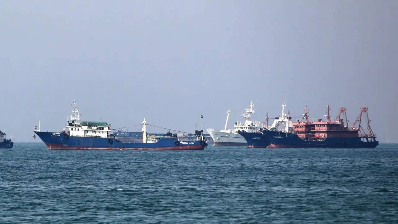 ‘Targeting commercial shipping unacceptable’: India urges safe navigation through Strait of Hormuz at UN