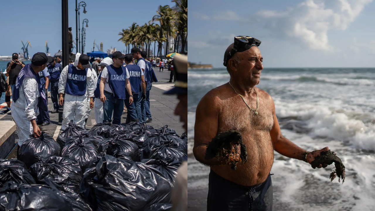Pipeline leak near Pemex platform caused Gulf of Mexico oil spill that killed wildlife, polluted reserves: officials