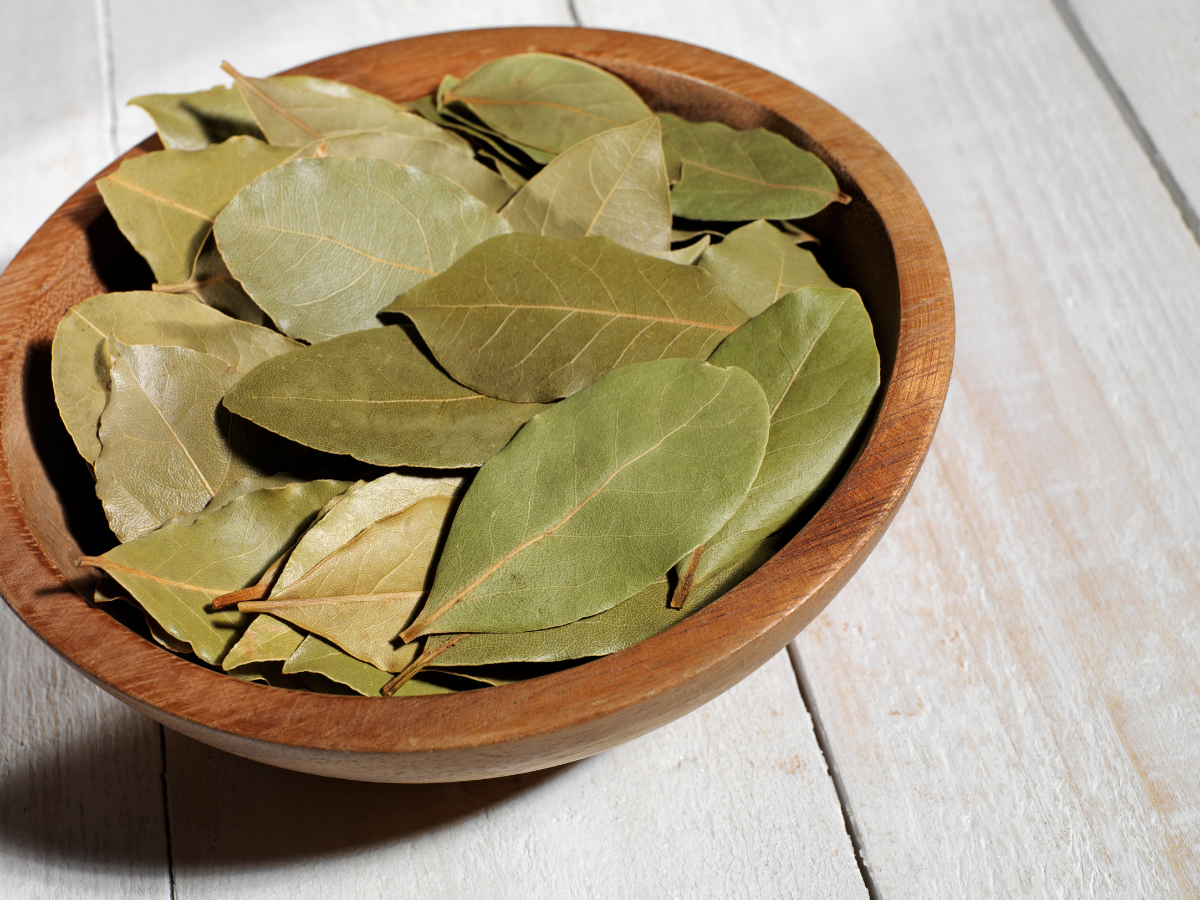 Bay leaf for manifesting