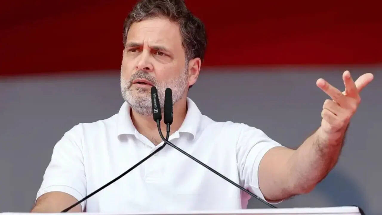 No force on this planet can touch Tamil Nadu or Tamil language: Rahul Gandhi on delimitation row