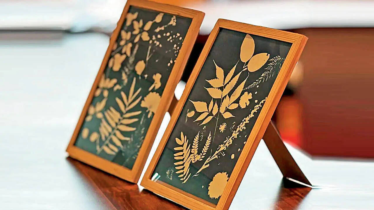 Across Delhi, cyanotype workshops are inviting participants to slow down and explore this early photographic process