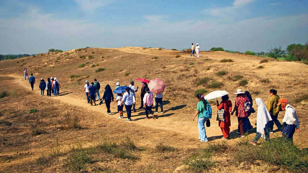 Rakhigarhi is one of the largest sites of the Indus Valley Civilisation, it offers a rare opportunity to walk across active archaeological mounds (@history_beyond_books)