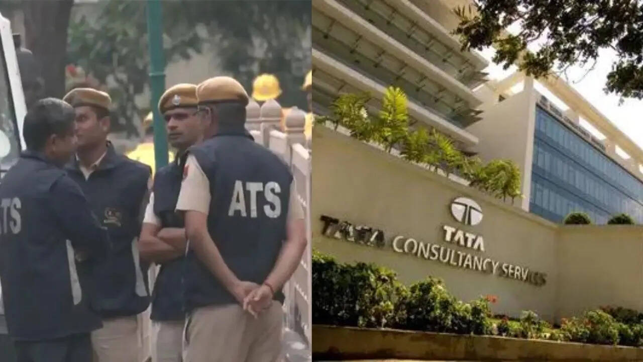 Pregnancy, not main accused: What absconding TCS employee’s lawyer told court