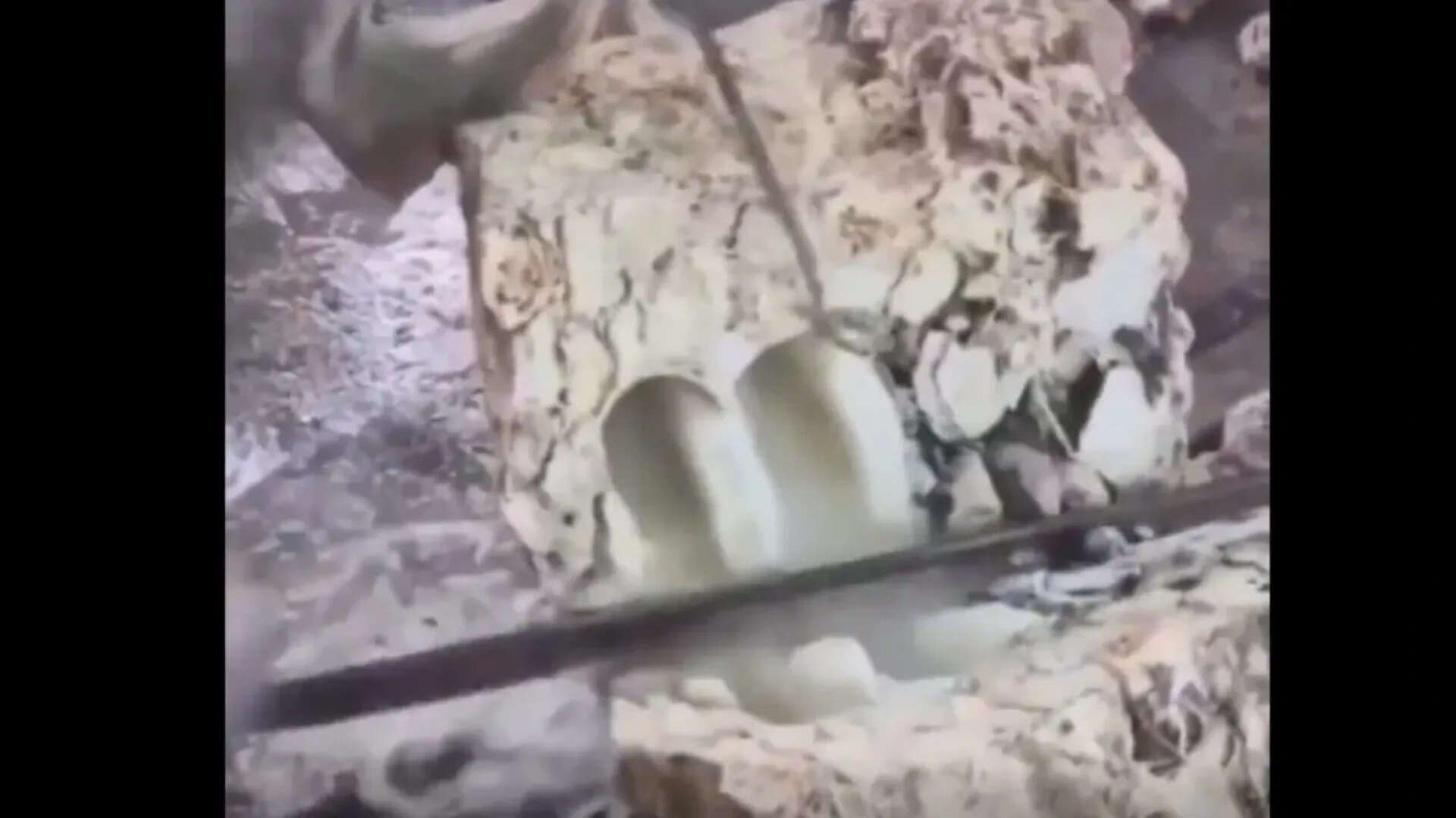 Often referred to as 'floating gold' ambergris means grey amber in French <br>