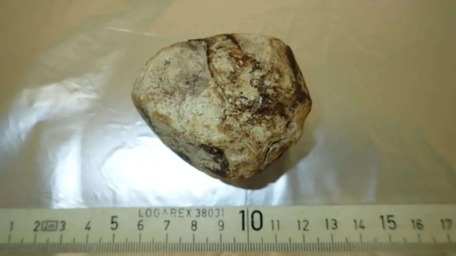 When whaling was widespread, sperm whales were hunted for ambergris <br>