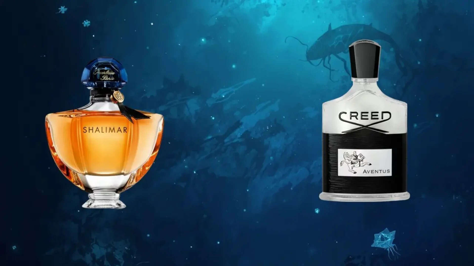 Ambergris is worth millions for its olfactory properties<br>