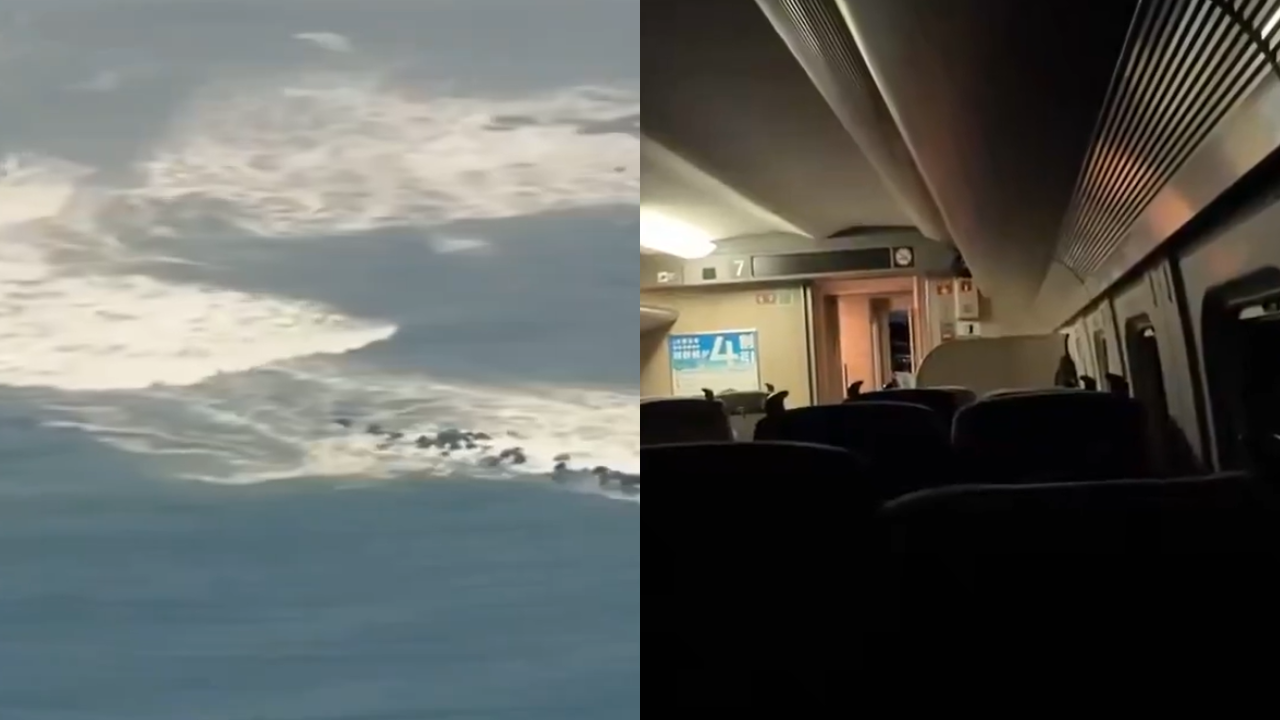 Japan issues ‘huge’ earthquake advisory after powerful 7.5 tremor; 80 cm tsunami recorded—top developments