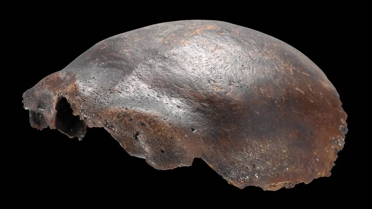 Mysterious German skull found in 1973 was once thought to be a Neanderthal hybrid; new study reveals the truth