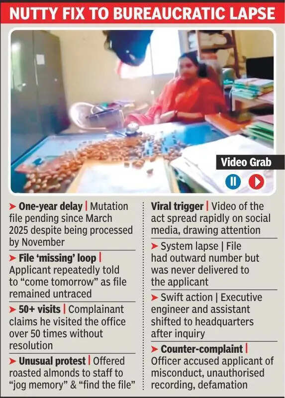 Mutation pending for a year, man offers almonds to housing board staff to ‘jog memory’, ‘find missing file’