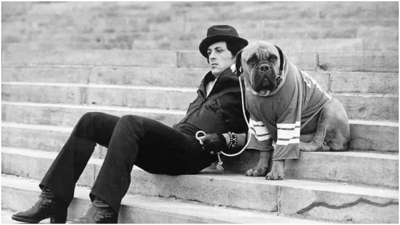 When Sylvester Stallone sold his dog for $40 for survival