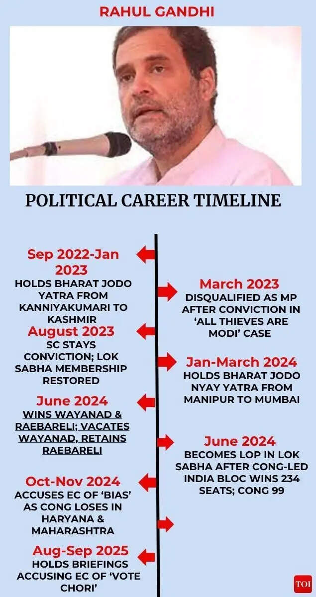 Rahul Gandhi career