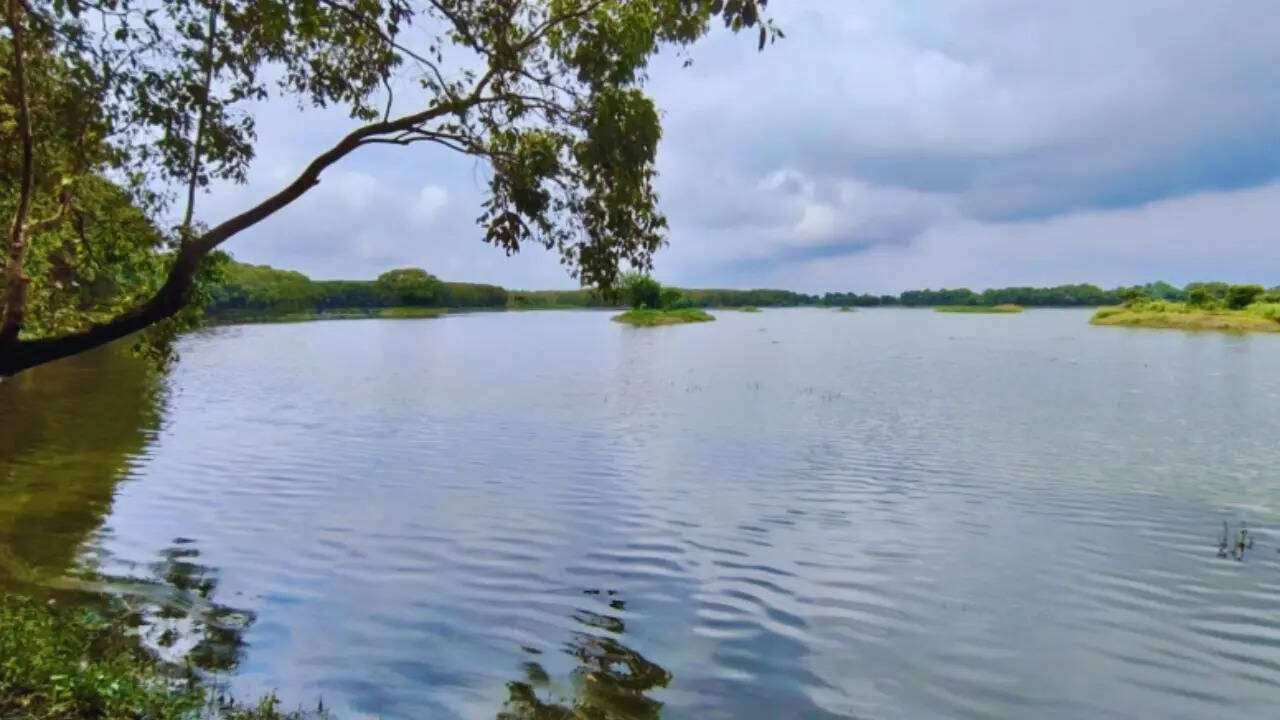 Shekha Jheel Bird Sanctuary