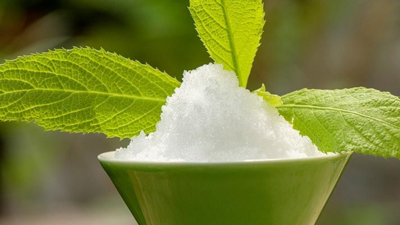 Camphor Hair Oil for Hair Fall