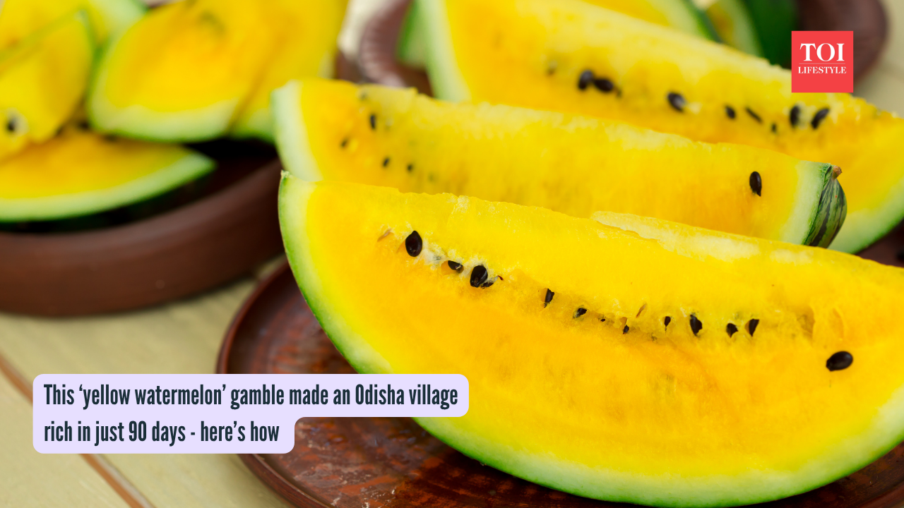 This ‘yellow watermelon’ gamble made an Odisha village rich in just 90 days - here’s how