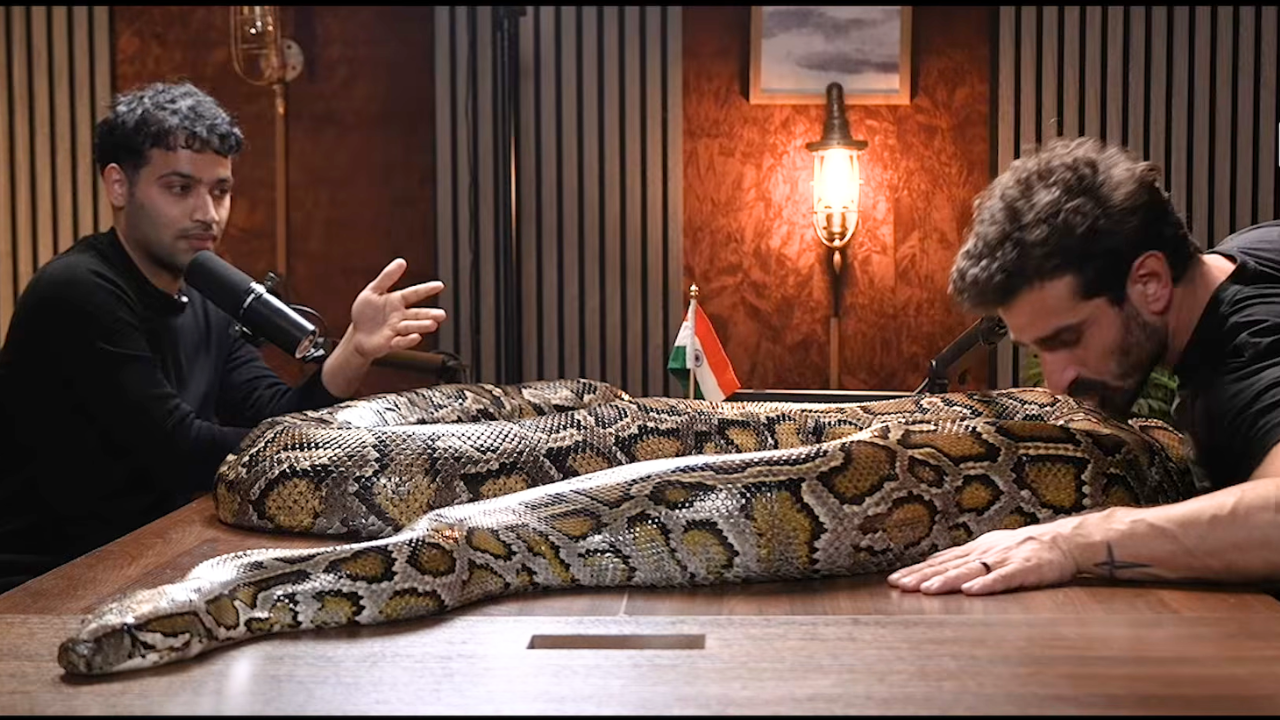 Python in a podcast: Raj Shamani’s figuring out features invasive guest as he brings live snake
