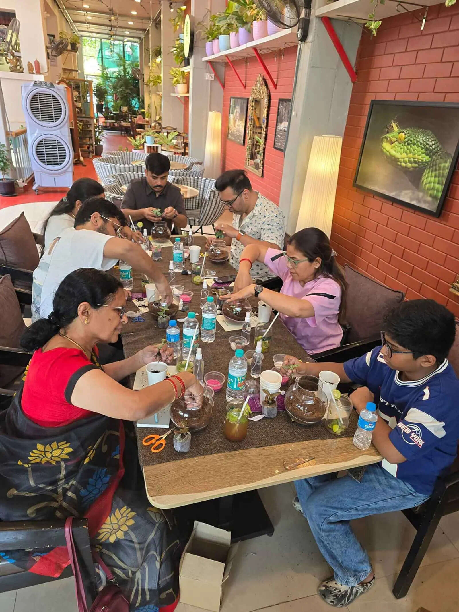 Terrarium Workshops Hyderabad