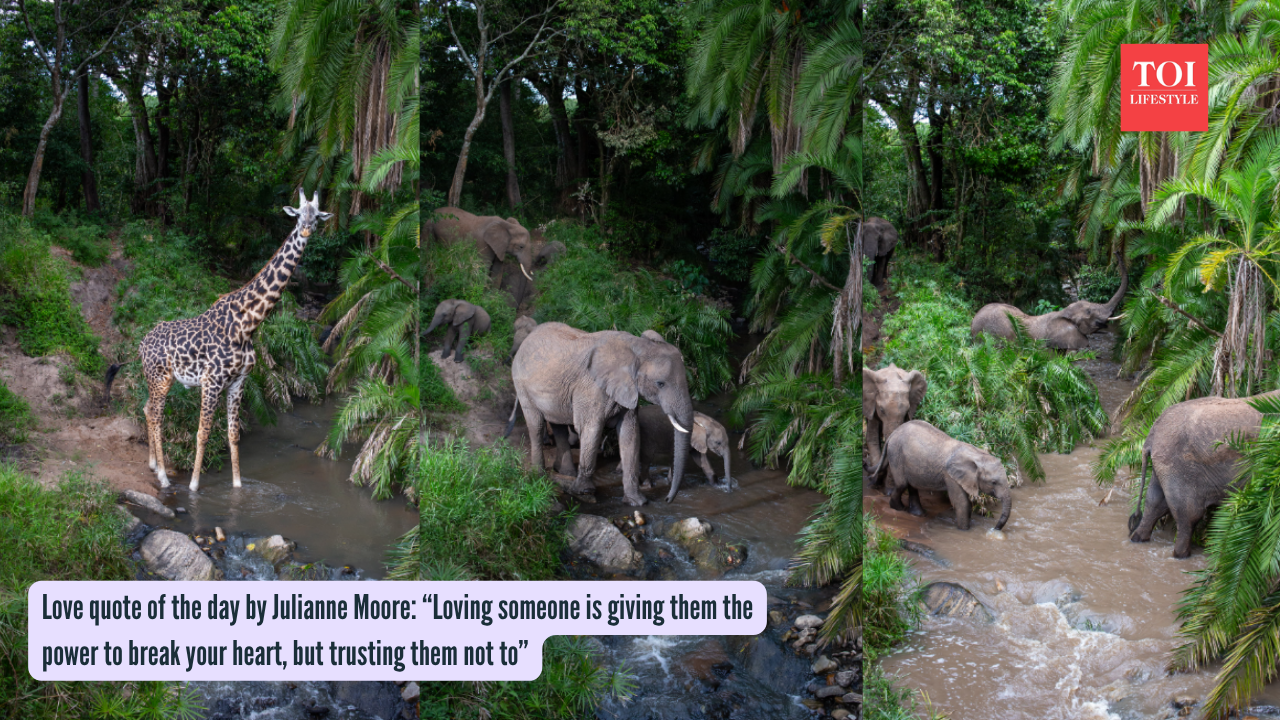 Hidden camera trap in Maasai Mara reveals a secret wildlife highway 'river crossing' no one knew existed