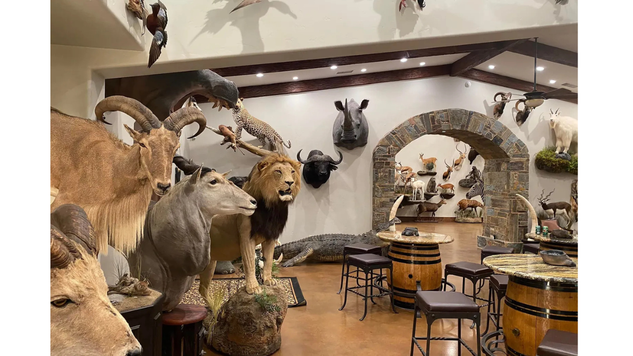 The veteran hunter kept an extensive collection of animal trophies at his home in California