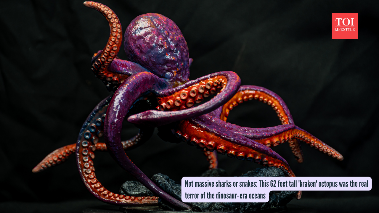 Not massive sharks or snakes This 62 feet tall 'kraken' octopus was the real terror of the dinosaur‑era oceans
