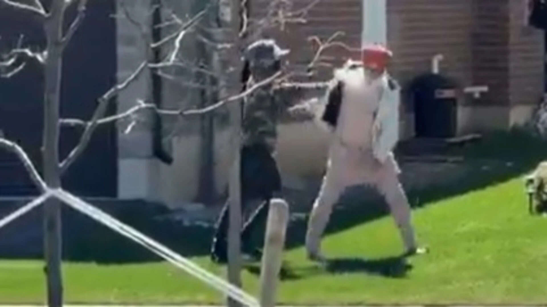 ‘Get out of my country’: Elderly Sikh man physically assaulted in racist attack in Canada