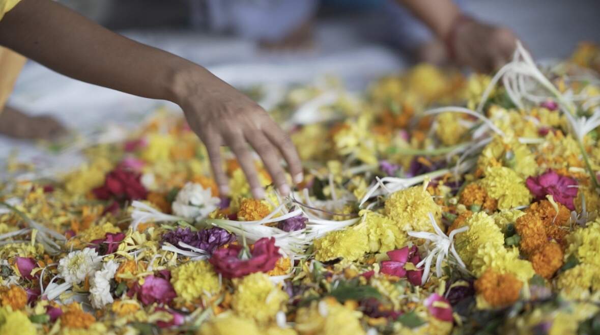 03 Binish Desai_Nuoterra Innovations Pvt Ltd_