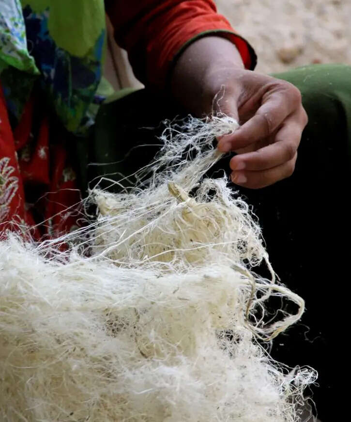 31 Ritu Jain_Paperdom_why we love copy