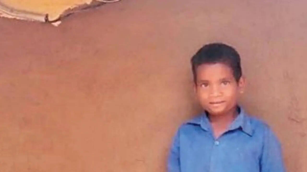 Chhattisgarh village stays awake to see first light bulb glow after decades of isolation