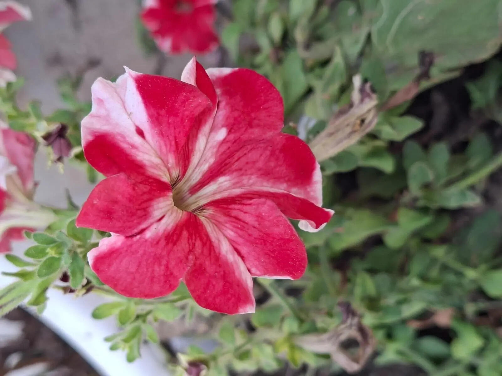 camera sample 1