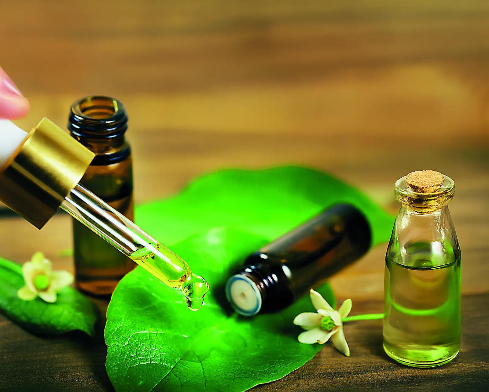 P4_SS_iStock-1151175369