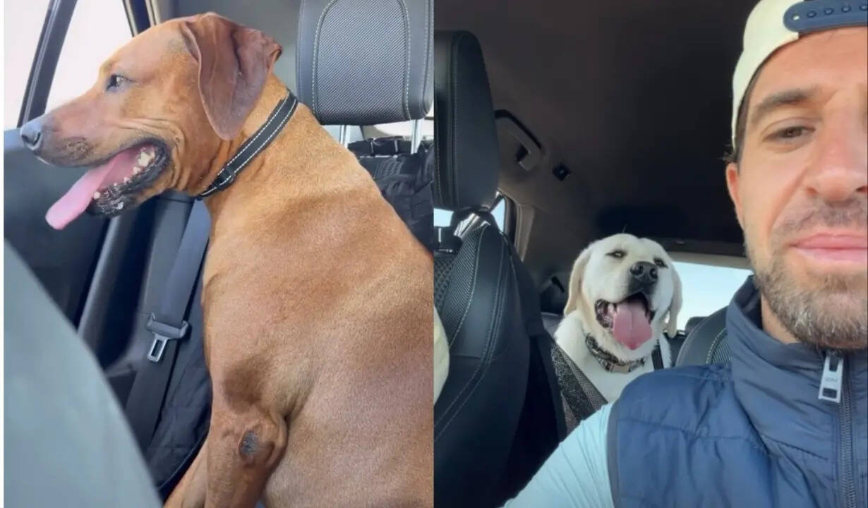 Antonio Felix Da Costa