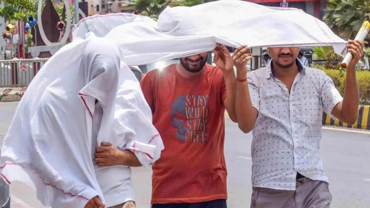 Heat wave alert: IMD warns 3 more days of 40°C+ temperatures in Delhi, UP, Rajasthan