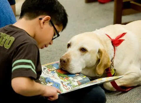 How a furry, non-judgmental audience could transform your child's relationship with books