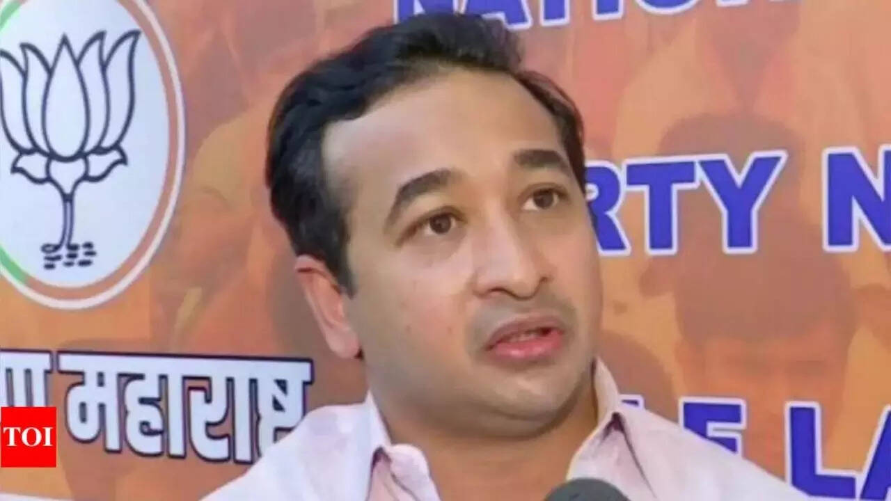 Maharashtra minister Nitesh Rane awarded 1-mth jail for 2019 mud attack on NHAI engineer