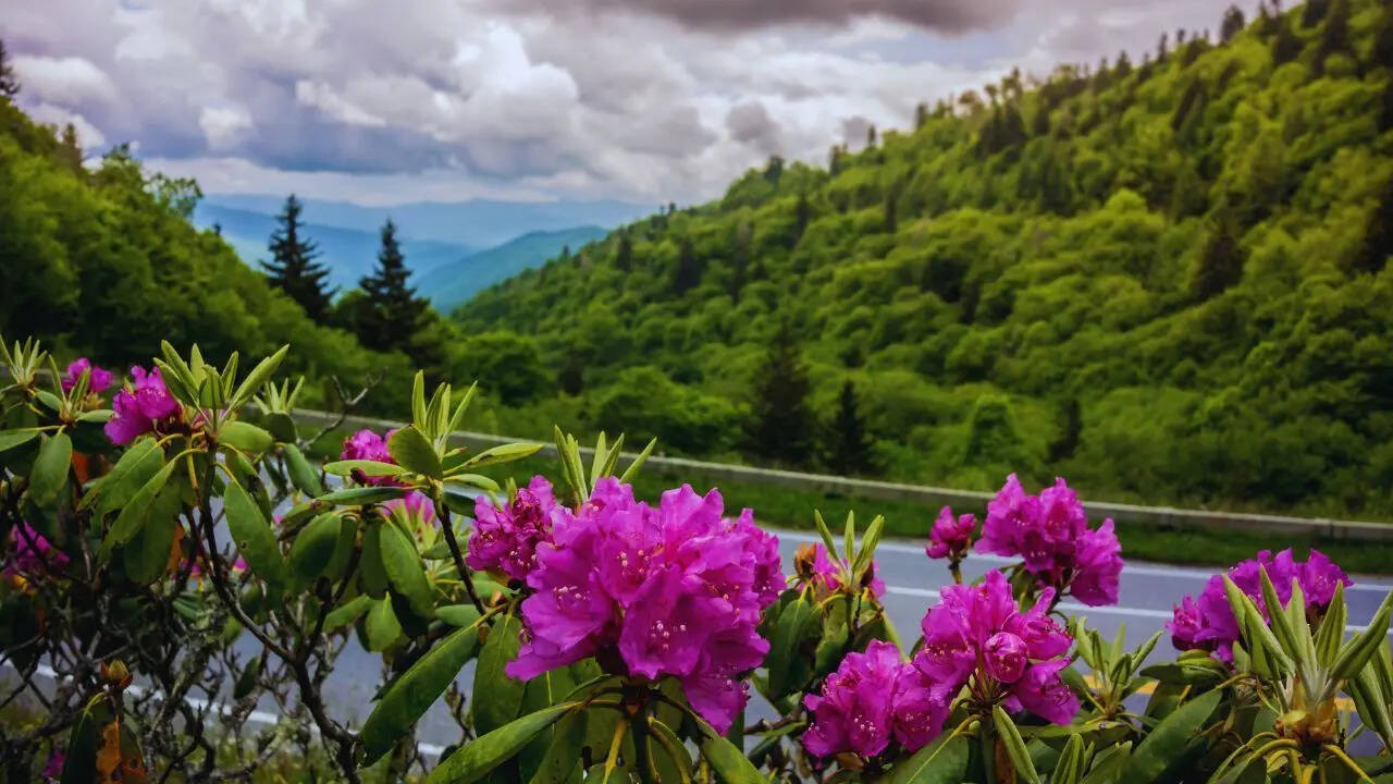 Great Smoky Mountains National Park (Tennessee & North Carolina)