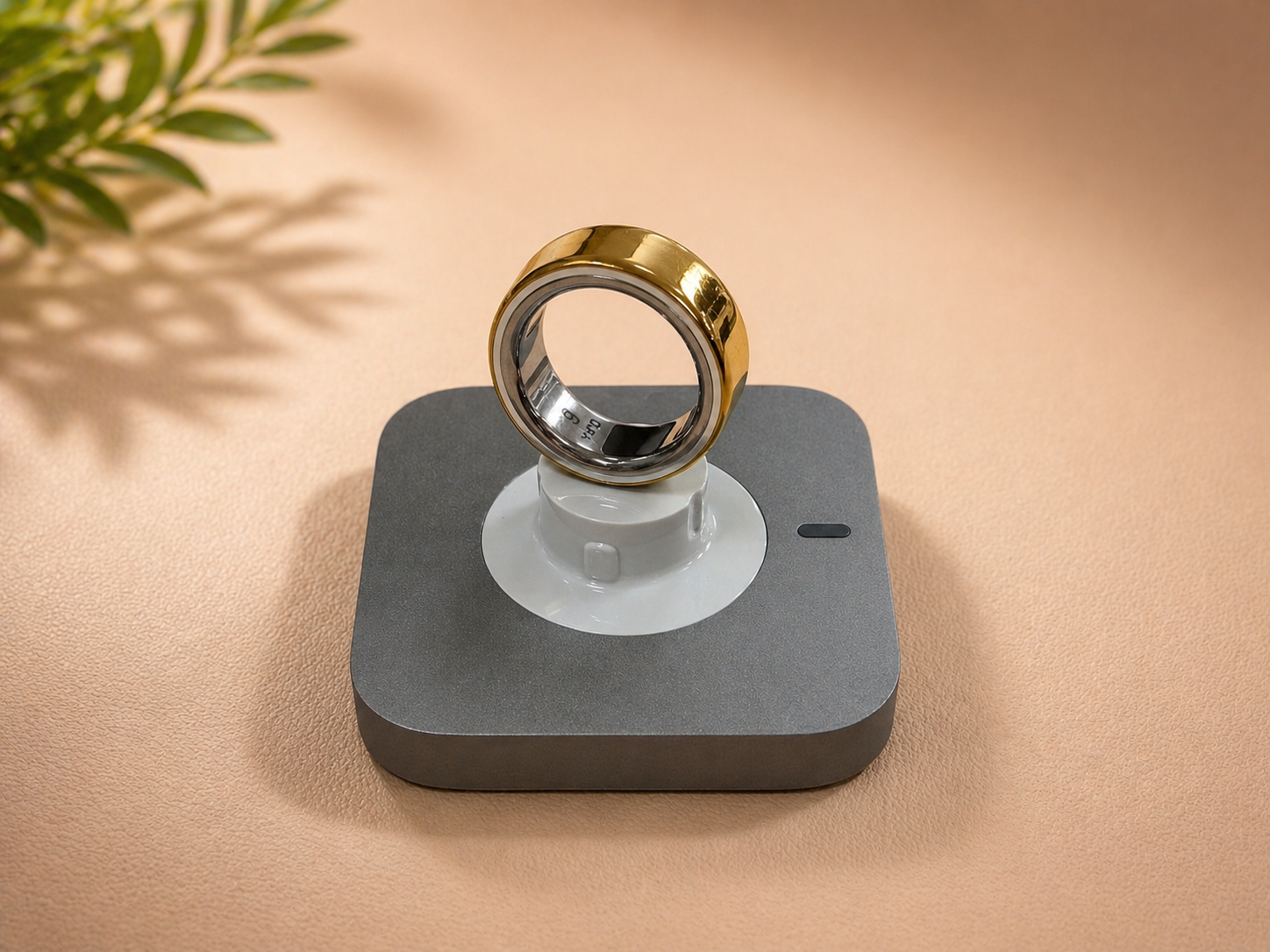 Oura Ring 4 review: The wellness ring that keeps it simple
