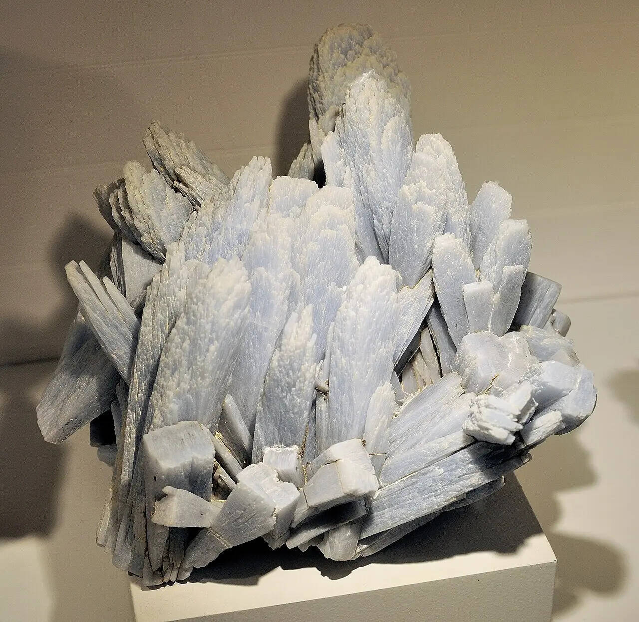 Harvard_Museum_of_Natural_History._Anhydrite._Naica_Mine,_Chihuahua,_Mexico_(DerHexer)_2012-07-20_2